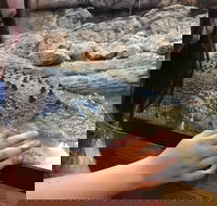 Canberra Reptile Zoo - QLD Tourism