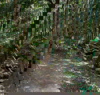 Cascades Walk - Queensland Tourism