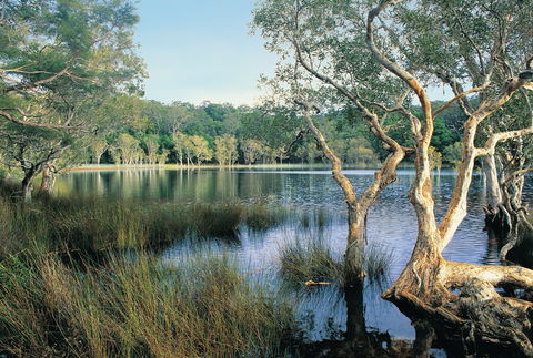 Cooloola, Great Sandy National Park - Queensland Tourism 1