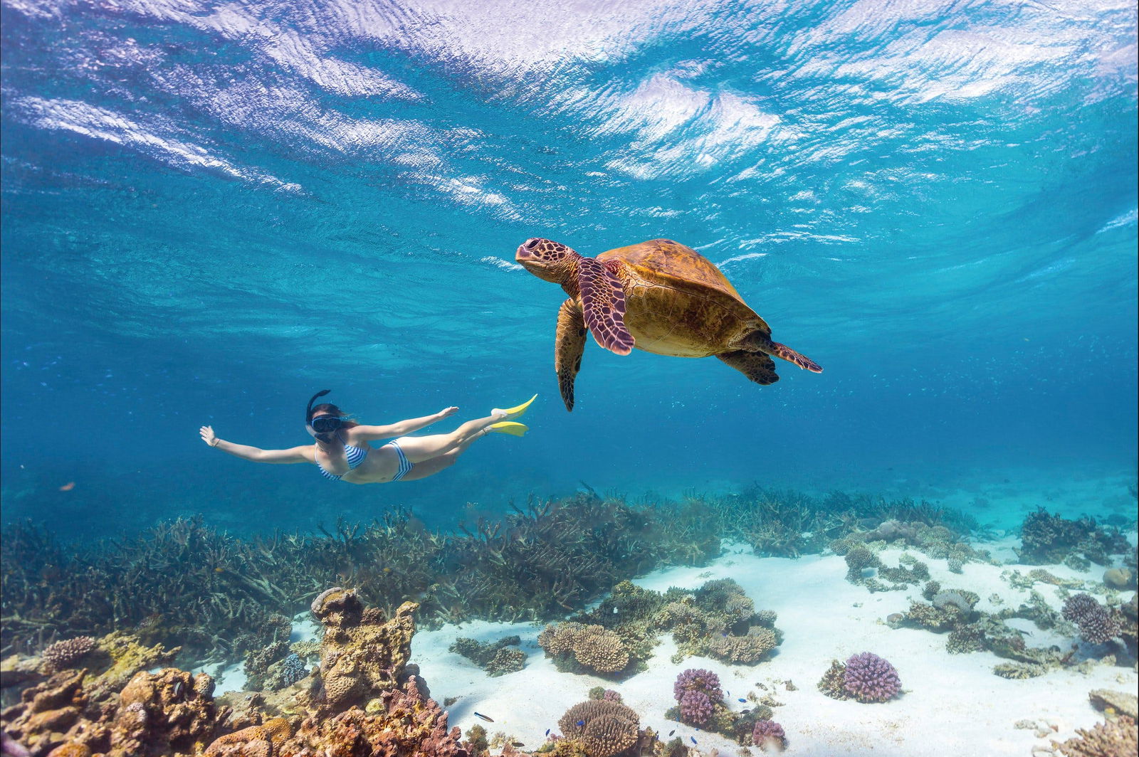  Queensland Tourism