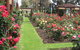 Cowra Rose Garden - thumb 0