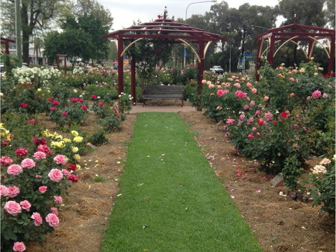 Cowra Rose Garden - QLD Tourism 1