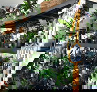 Fancy Plants - Queensland Tourism