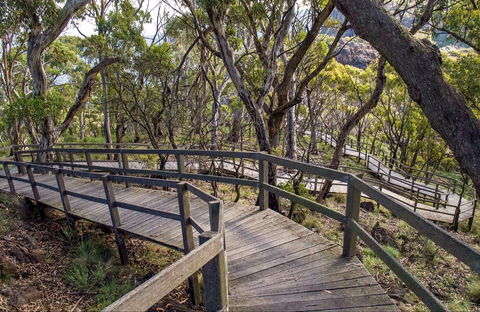 Governor Summit (Corrunbral Borawah) Walking Track - Queensland Tourism 0