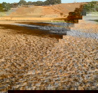 Gunning Golf Club - QLD Tourism