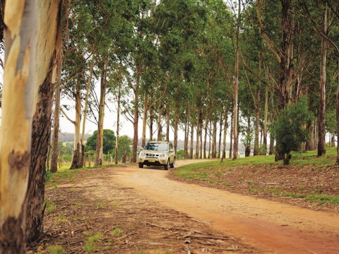 Kumbia Federation Heritage Centre - QLD Tourism 0