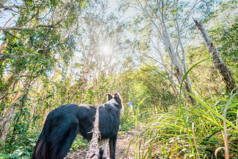 Lamb Island (Nguderoo) - QLD Tourism 1