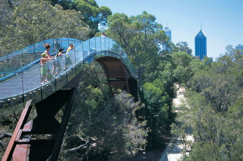 Law Walk - Kings Park - Queensland Tourism 0