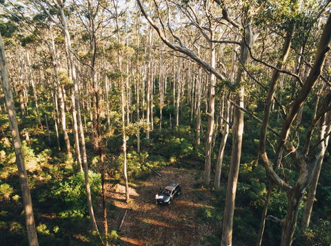 Leeuwin-Naturaliste National Park - Cowaramup - Queensland Tourism 0
