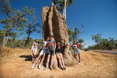 Magnetic Termite Mounds - QLD Tourism 0