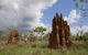 Magnetic Termite Mounds - thumb 2