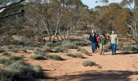 Mallee Stop Walking Track - QLD Tourism 0