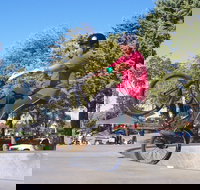 Millicent Skatepark - Queensland Tourism