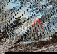 Mountain Bike Trails Deniliquin - QLD Tourism