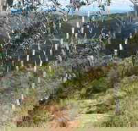 Mount Towac Walk - Queensland Tourism