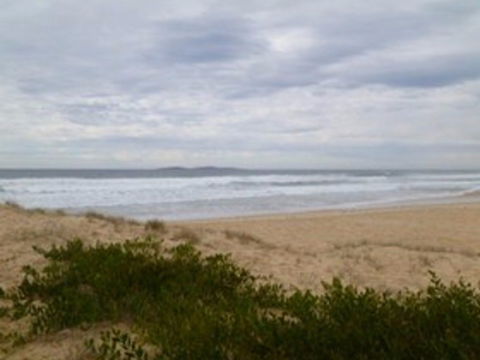 Narooma Surf Beach - Queensland Tourism 0