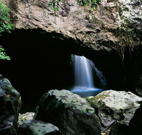 Natural Bridge Circuit Springbrook National Park - QLD Tourism