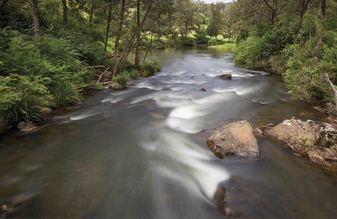 Nymboi-Binderay National Park - QLD Tourism 0