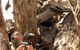 Paintball Sports - thumb 2