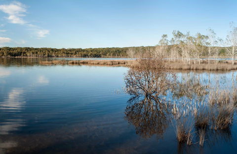 Pattimores Lagoon - Queensland Tourism 0