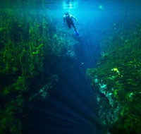 Piccaninnie Ponds Conservation Park - QLD Tourism