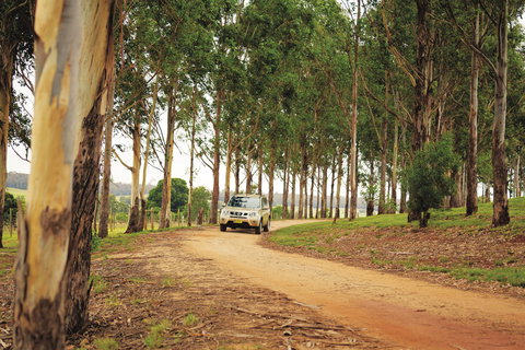 Proston - Queensland Tourism 1