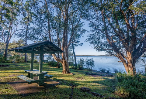 Queens Lake Picnic Area - QLD Tourism 0