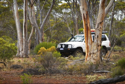 Ravensthorpe Range - QLD Tourism 0