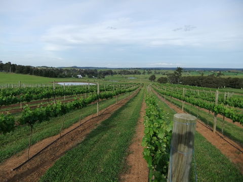 Razorback, Cawdor, Camden Park - Queensland Tourism 0