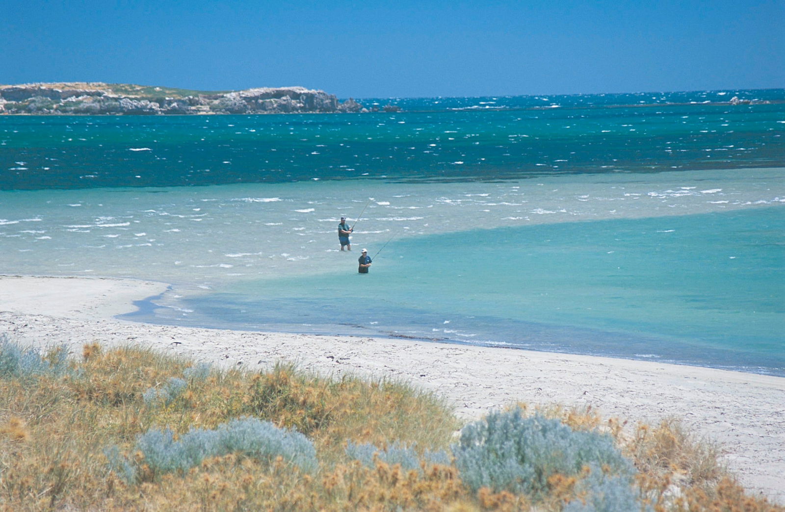 Singleton WA QLD Tourism