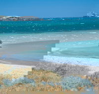 Singleton - QLD Tourism