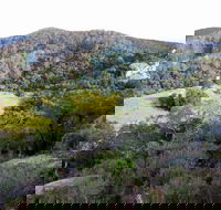 The Bellbird - Queensland Tourism