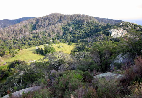 The Bellbird - Queensland Tourism 0