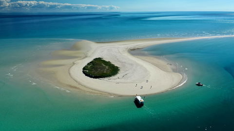 Turtle Discovery - Queensland Tourism 0