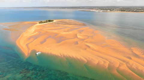 Turtle Discovery - Queensland Tourism 2