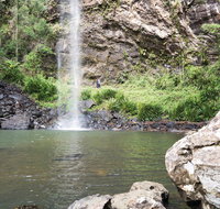 Twin Falls Circuit Springbrook National Park - QLD Tourism