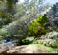 Wadbilliga Road drive - Queensland Tourism