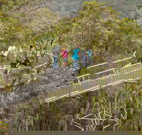 Walpole Wilderness Discovery Centre - Queensland Tourism
