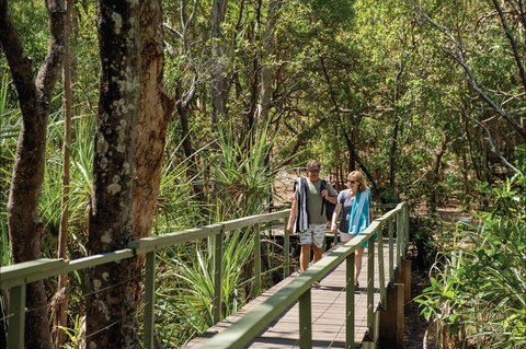 Wangi Falls Walk - QLD Tourism 1