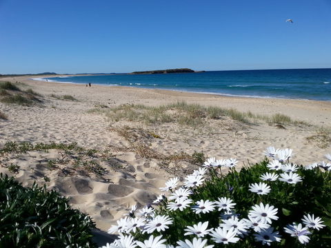 Warilla - QLD Tourism 1