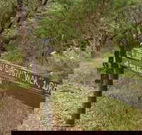 Waterfall Gully - Kings Falls Circuit Walk - QLD Tourism