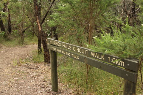 Waterfall Gully - Kings Falls Circuit Walk - QLD Tourism 0