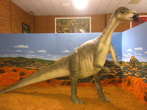 Wentworth Pioneer Museum - QLD Tourism 1