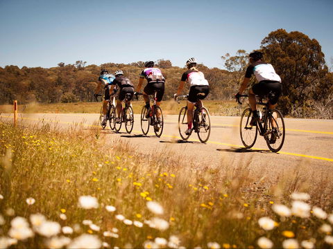 7 Peaks Ride - Dinner Plain - QLD Tourism 0