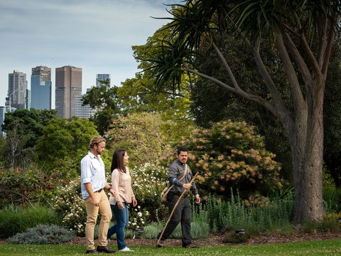 Aboriginal Heritage Walk - QLD Tourism 0