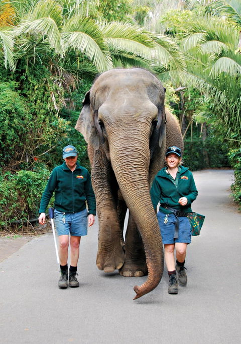 Animals And Family Fun - Queensland Tourism 2