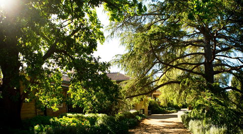 Anlaby - Queensland Tourism 1