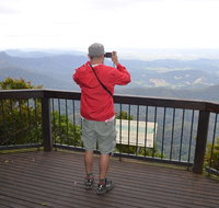 Best of All lookout track Springbrook National Park - QLD Tourism