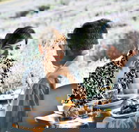 Boonah - QLD Tourism