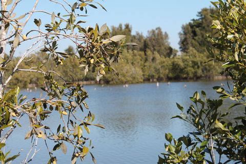 Boyters Lane Bird Hide - Queensland Tourism 2